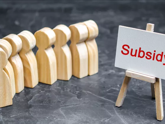 subsidie