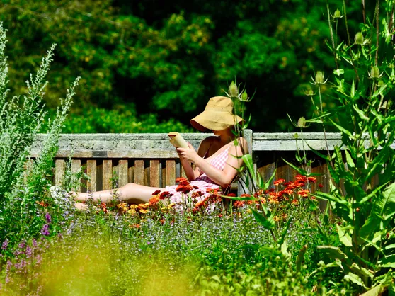 zomer